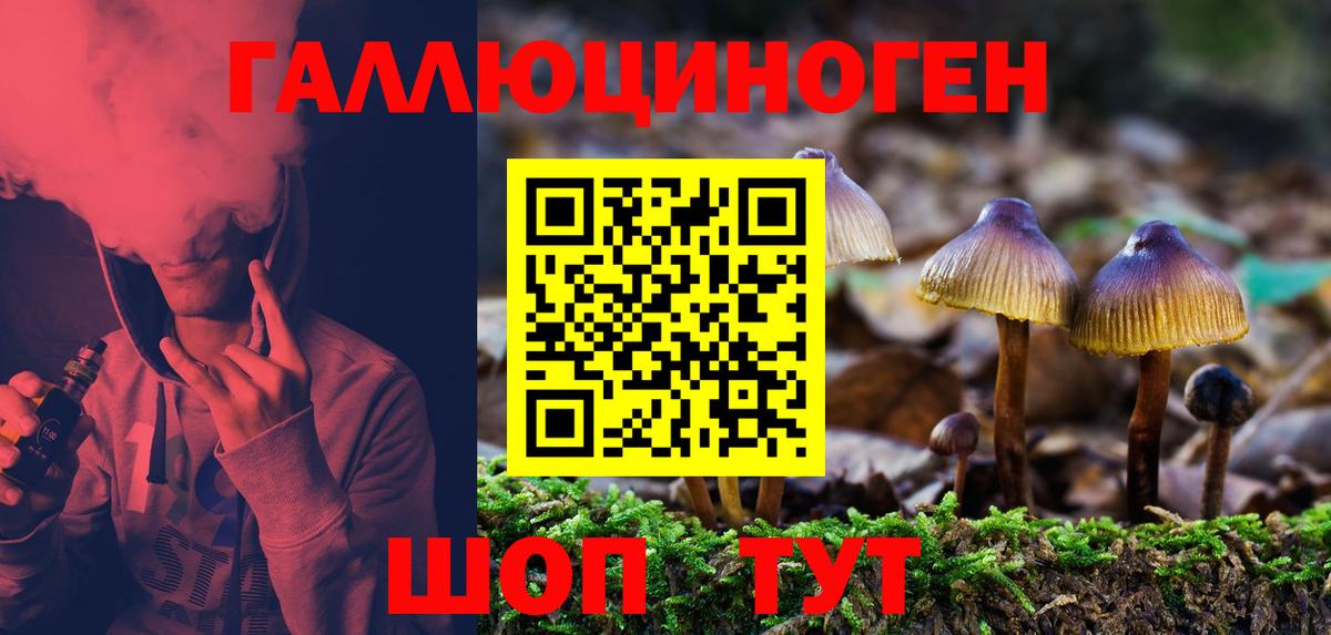 как найти наркотики  Вход с VPN  Владимир  Галлюциногенные грибы Magic Shrooms 